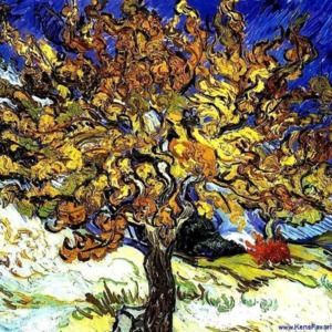 Meet your Posher, Chastity